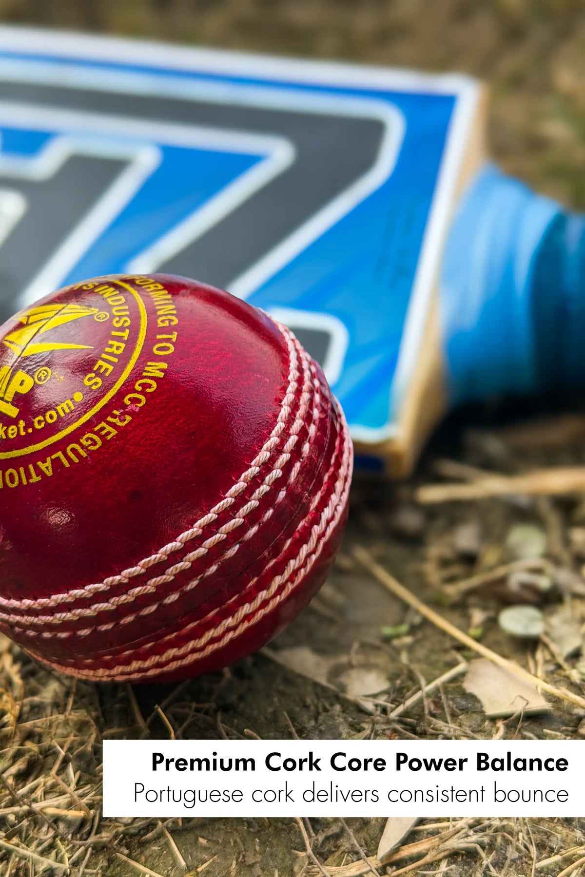 ZAP Pacer 20 Cricket Leather Ball
