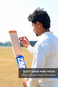 ZAP Bouncer Scoop Tennis Cricket Bat